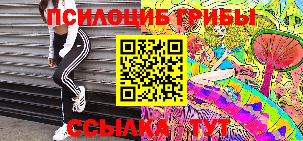 Великие Луки  Псилоцибиновые грибы ЛСД  Вход с VPN  Галлюциногенные грибы Psilocybine cubensis 