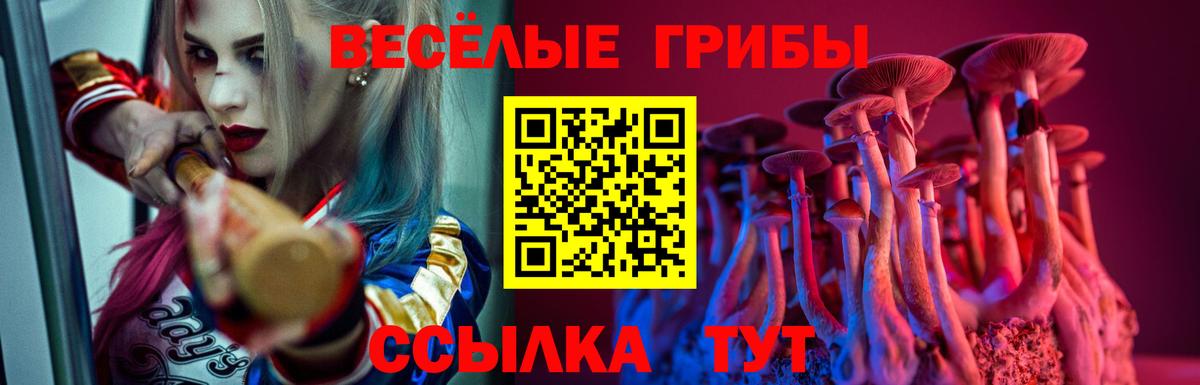 Псилоцибиновые грибы ЛСД Великие Луки